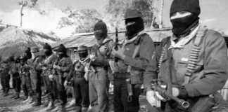 El EZLN: las lecciones a 18 años del levantamiento (Segunda parte)