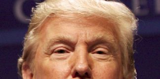 Balance de las elecciones en Estados Unidos: ¡Luchar contra Trump, luchar contra el capitalismo!