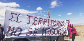 El capital se devora los territorios: La lógica del desarrollismo, un modelo de concentración y saqueo