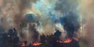 El fuego que se devora la Amazonia, la Chiquitanía y el Gran Chaco, es el desarrollismo capitalista