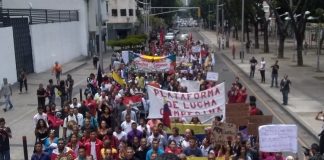 Venezuela: a un año de la marcha campesina, sigue el conflicto por la tierra y los campesinos retoman las calles