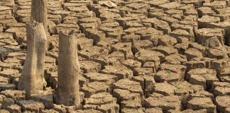 Qué programa necesitamos para luchar contra el cambio climático