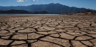 Nuevo documento de Lucha de Clases: ‘El capitalismo mata al planeta ¡Hace falta una revolución!’