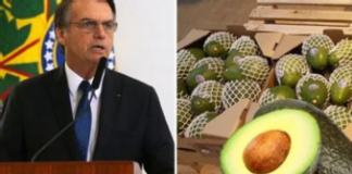 La economía brasileña entre aguacates y ananás