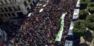 Argelia: grandes marchas en el Día de la Revolución – ¡ahora preparar una huelga general!