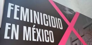 Los feminicidios en México: síntoma de un sistema enfermo