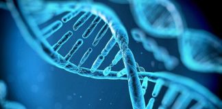 La espiral de la vida, una interpretación marxista sobre el origen de los seres vivos