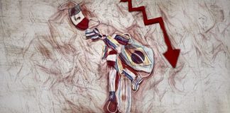 Pandemia y crack económico en América Latina: ¡Preparemos el futuro!