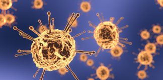 Coronavirus en Argentina: la incompatibilidad del sistema capitalista con la salud y la vida de los trabajadores