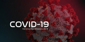 La pandemia de COVID-19: la catástrofe que nos amenaza y cómo combatirla