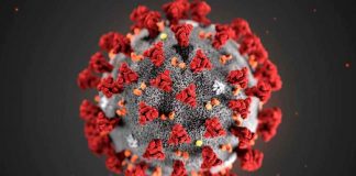 COVID-19 en Argentina y el derrumbe de la economía mundial