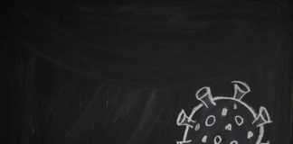 Educación, capitalismo y pandemia