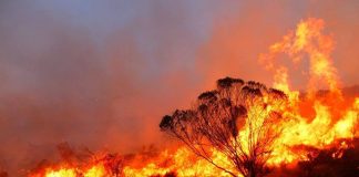Córdoba va, entre fuegos, violencia estatal y lucha popular.