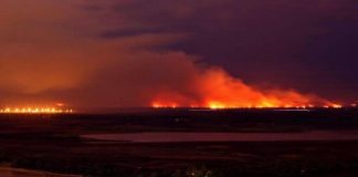 Naturaleza en llamas