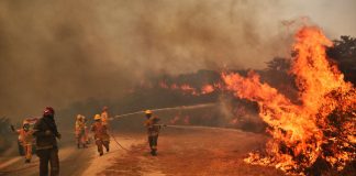 Tierra arrasada, sobre incendios y devastación capitalista en Córdoba, Argentina.