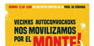 Córdoba: Vecinxs autoconvocadxs nos movilizamos por el monte.