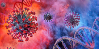 La genética evolutiva del SARS-CoV-2 y la estupidez asesina de la burguesía