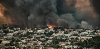 Incendios forestales en Grecia: el pirómano es la clase dominante