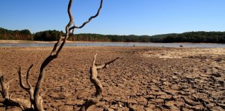 Sequías globales: la sed de ganancias seca el planeta
