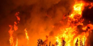 Catástrofe climática y superbeneficios: las verdaderas preocupaciones de la clase dominante