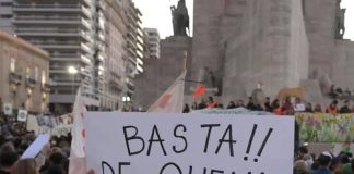 Reflexiones sobre la lucha para la aprobación de la ley de humedales