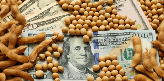 La insolvencia del Estado argentino pone en un callejón sin salida a la dominación política de la burguesía a través de sus partidos