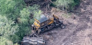 Cuando las leyes tienen nombre y apellido