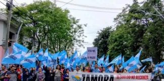 La motosierra zamorista contra la educación y las tareas de la docencia