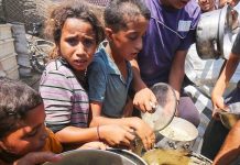 Una hambruna provocada por el imperialismo