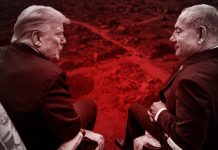 El significado del alto el fuego en Gaza