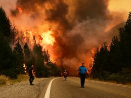 ¿Por qué quemaron a la Patagonia?