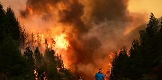 ¿Por qué quemaron a la Patagonia?