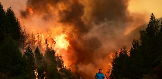 ¿Por qué quemaron a la Patagonia?