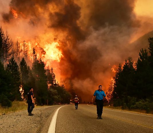 ¿Por qué quemaron a la Patagonia?