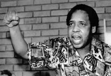 El asesinato de Chris Hani: un punto de inflexión en la lucha revolucionaria contra el apartheid