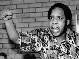 El asesinato de Chris Hani: un punto de inflexión en la lucha revolucionaria contra el apartheid