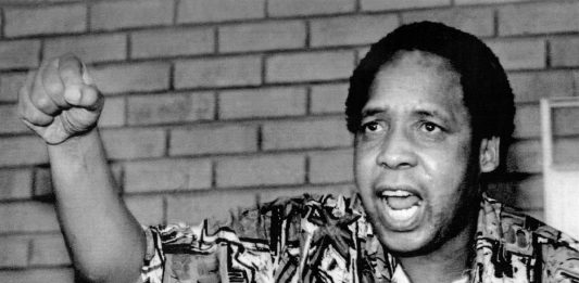 El asesinato de Chris Hani: un punto de inflexión en la lucha revolucionaria contra el apartheid