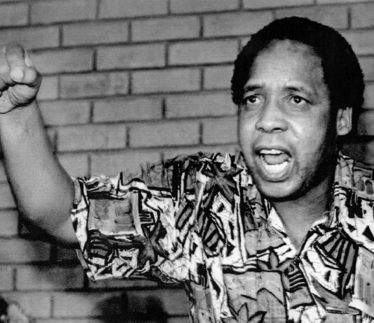 El asesinato de Chris Hani: un punto de inflexión en la lucha revolucionaria contra el apartheid