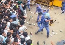 ¡Las «cucarachas» de India no serán aplastadas tan fácilmente!