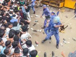 ¡Las «cucarachas» de India no serán aplastadas tan fácilmente!