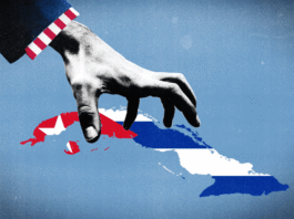 Desde Rosario: teoría marxista, organización y defensa de la Revolución cubana